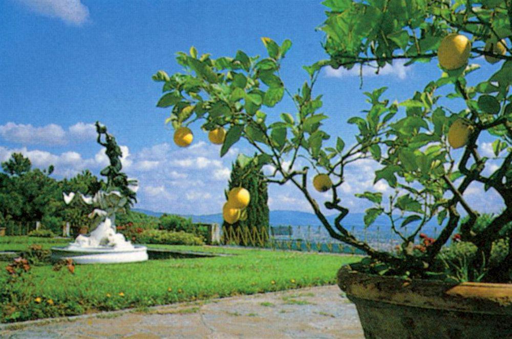 Hotel Villa Le Rondini Φλωρεντία Εξωτερικό φωτογραφία